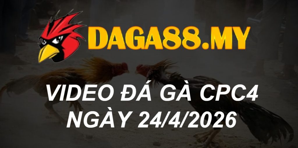 Video gà Video CPC4 ngày 24/04/2026