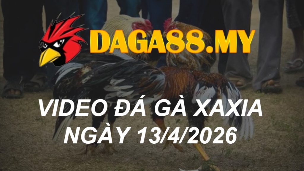 VIDEO GÀ XAXIA NGÀY 13/4/2026
